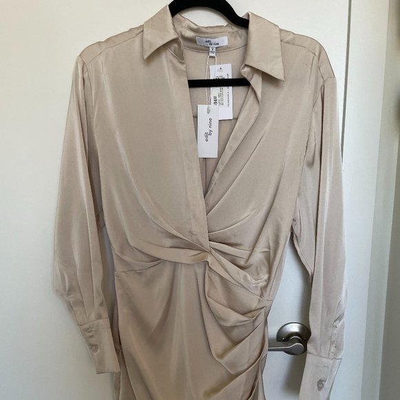 Beige Champagne Silk Long-sleeve Dress - Picture 1 of 4